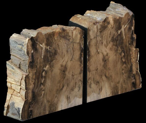 Petrified Wood Bookends - Oregon #65969